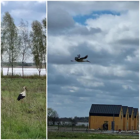 Zacisze Mazurskie דירה *