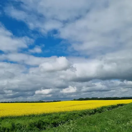 דירה Zacisze Mazurskie רין
