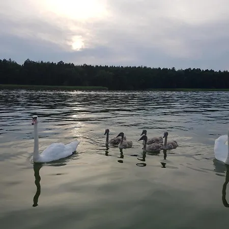 Apartment Zacisze Mazurskie Ryn (Warmian-Masurian)