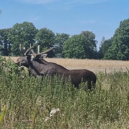 Zacisze Mazurskie דירה רין