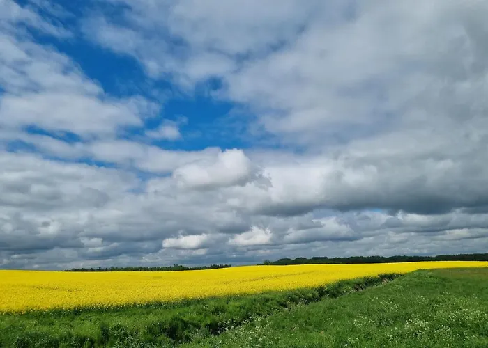 Appartement Zacisze Mazurskie Ryn (Warmian-Masurian)