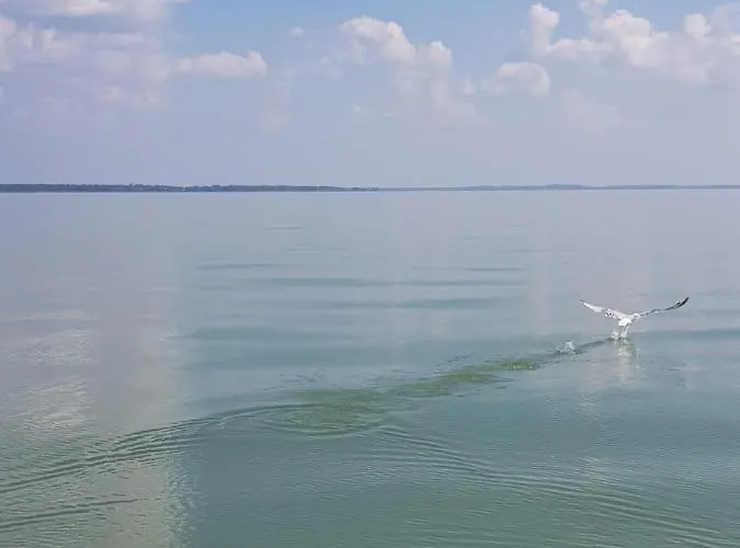 Zacisze Mazurskie Appartement Ryn (Warmian-Masurian)